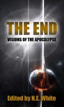 The End - Visions of Apocalypse Read online