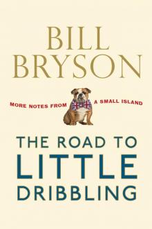 The Road to Little Dribbling Read online