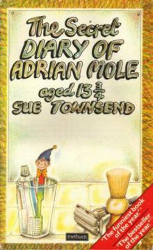 The Secret Diary of Adrian Mole, Aged 13 3⁄4 am-1 Read online