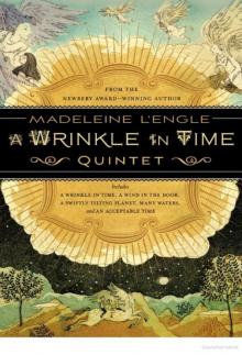 The Wrinkle in Time Quintet Read online