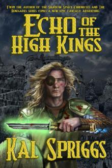 Echo of the High Kings (The Eoriel Saga Book 1) Read online