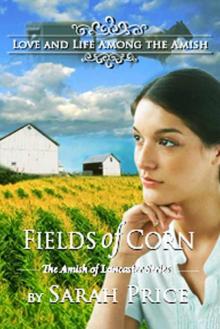 Fields of Corn: The Amish of Lancaster Read online