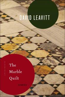 The Marble Quilt Read online