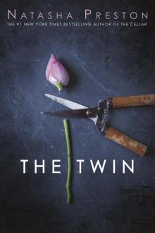 The Twin Read online