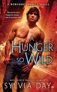 A Hunger So Wild: A Renegade Angels Novel Read online