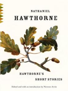 Hawthorne's Short Stories Read online