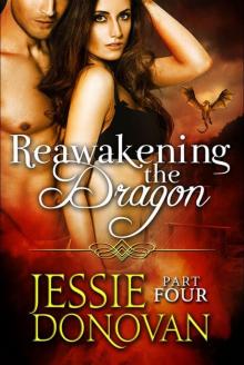 Reawakening the Dragon: Part Four Read online