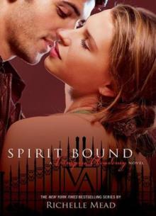 Spirit Bound va-5 Read online
