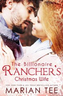 The Billionaire Rancher's Christmas Wife: A Modern Day Small Town Romance (Evergreen's Mail-Order Brides Book 2) Read online