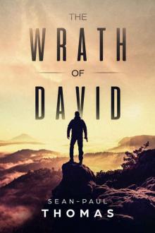 The Wrath of David Read online