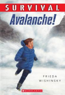 Avalanche! Read online