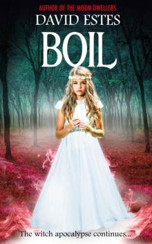 Boil (Salem's Revenge Book 2) Read online