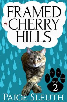 Framed in Cherry Hills (Cozy Cat Caper Mystery Book 2) Read online