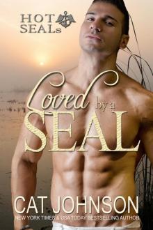 Loved by a SEAL Read online