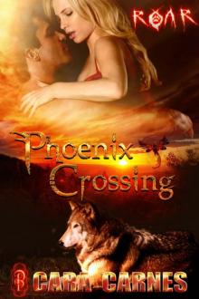 Phoenix Crossing Read online