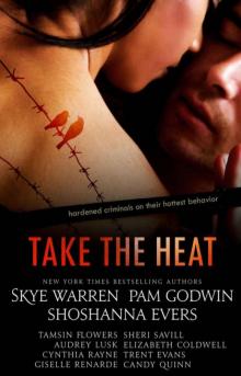 Take the Heat: A Criminal Romance Anthology Read online