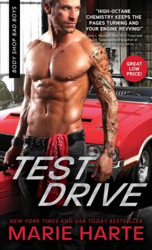 Test Drive Read online