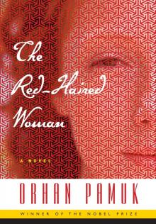 The Red-Haired Woman Read online