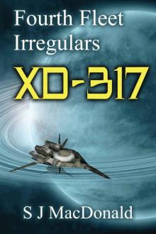 XD:317 (Fourth Fleet Irregulars) Read online