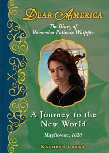 A Journey to the New World Read online
