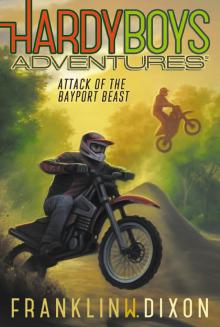Attack of the Bayport Beast Read online