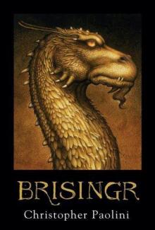 Brisingr [en] i-3 Read online