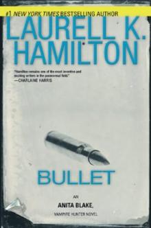 Bullet ab-19 Read online