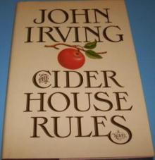 Cider House Rules Read online