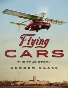 Flying Cars Read online