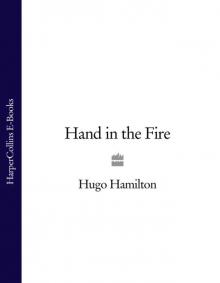 Hand in the Fire Read online
