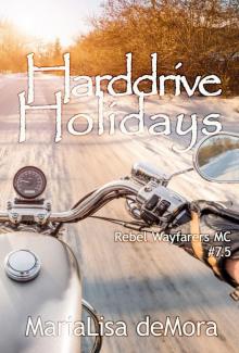 Harddrive Holidays Read online