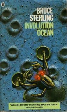 Involution Ocean Read online