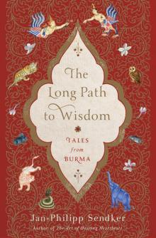The Long Path to Wisdom Read online