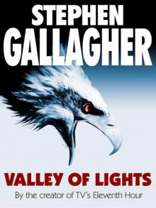 Valley of lights Read online