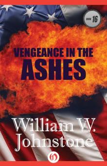 Vengeance in the Ashes Read online