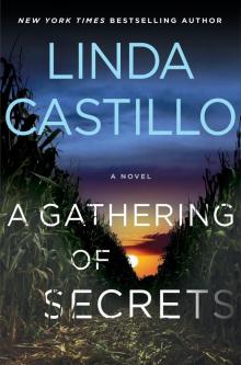 A Gathering of Secrets Read online