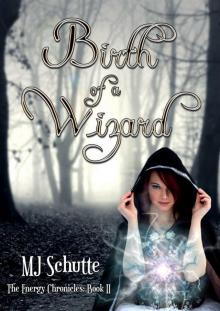 Birth of a Wizard Read online