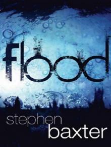 Flood Read online