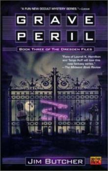 Grave Peril df-3 Read online