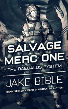 Salvage Merc One: The Daedalus System Read online