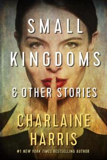 Small Kingdoms and Other Stories Read online