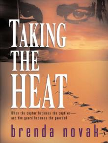 Taking the Heat Read online
