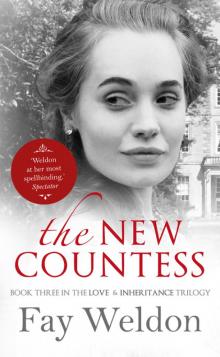 The New Countess Read online