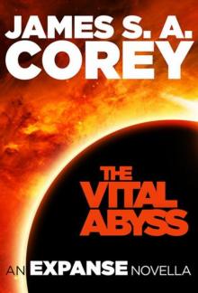 The Vital Abyss: An Expanse Novella (The Expanse) Read online