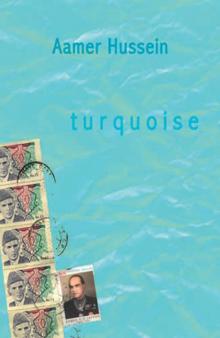 Turquoise Read online