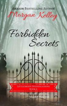 Forbidden Secrets Read online