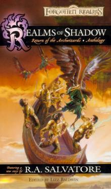 Realms of Shadow a-8 Read online
