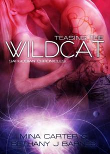 Teasing the Wildcat Read online