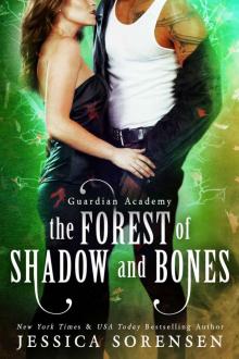 The Forest of Shadow and Bones (Guardian Academy, Dash's Series Book 1) Read online