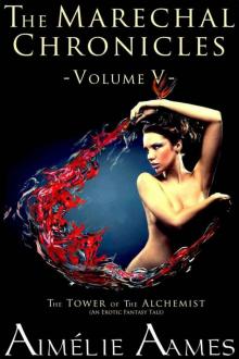 The Marechal Chronicles: Volume V, The Tower of the Alchemist Read online